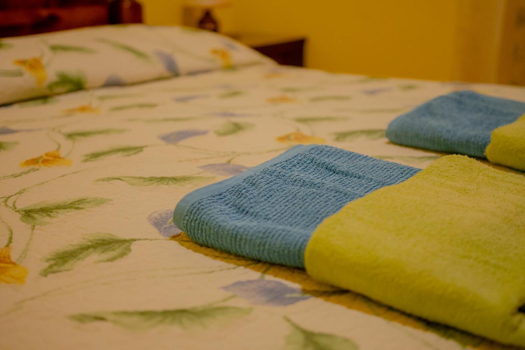 Apartments Angelica 2 Novigrad Istria Dış mekan fotoğraf